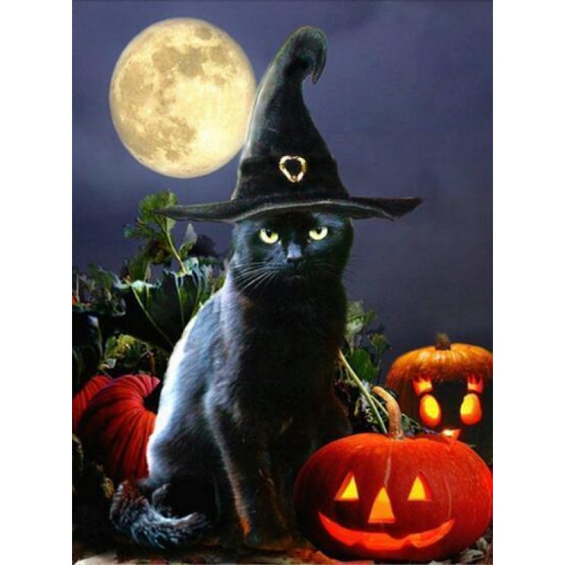 2019 Neuankömmling ...