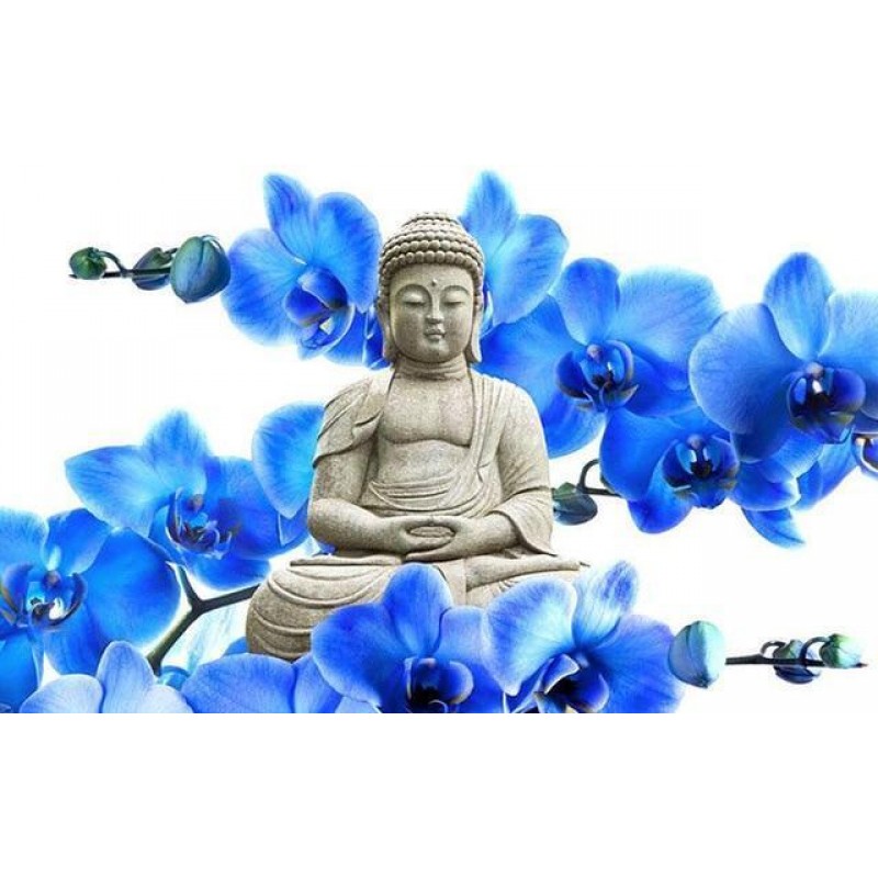 Neuankömmling Schlu...