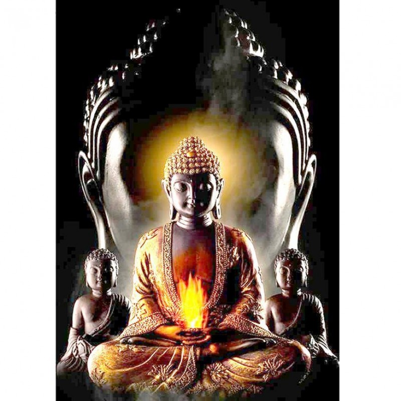 2019 Neuankömmling ...