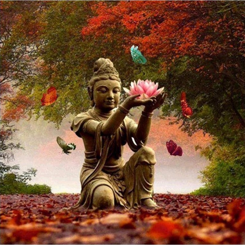 2019 Neuankömmling ...