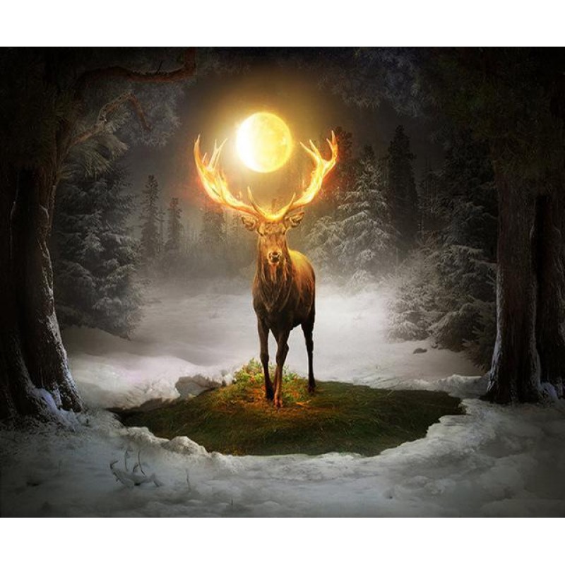 2019 Traum Tiere Hir...