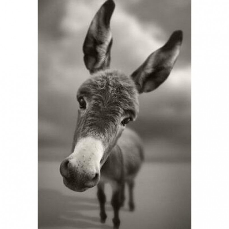 Vol Eckig Strassstei...