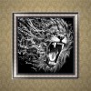Moderne Kunststile Neuankömmling Schwarz Und Weiß Löwe 5d Diamond Painting /Diamant Malerei Set VM9654