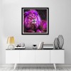 Moderne Kunststile Löwe Patroon 5d Vol Diamond Painting /Diamant Malerei Set QB5880