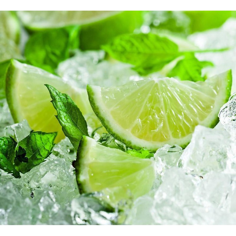 2019 Neuankömmling ...