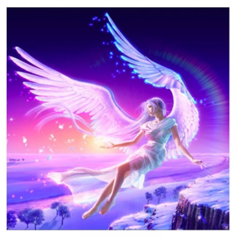 Neuankömmling Fee P...