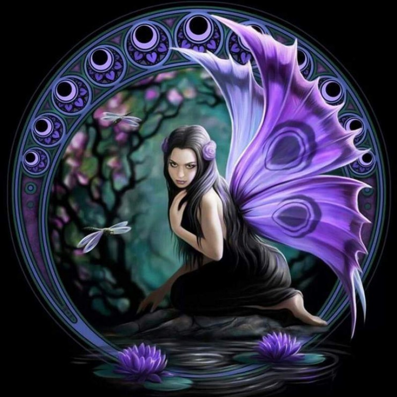 Neuankömmling Fee P...