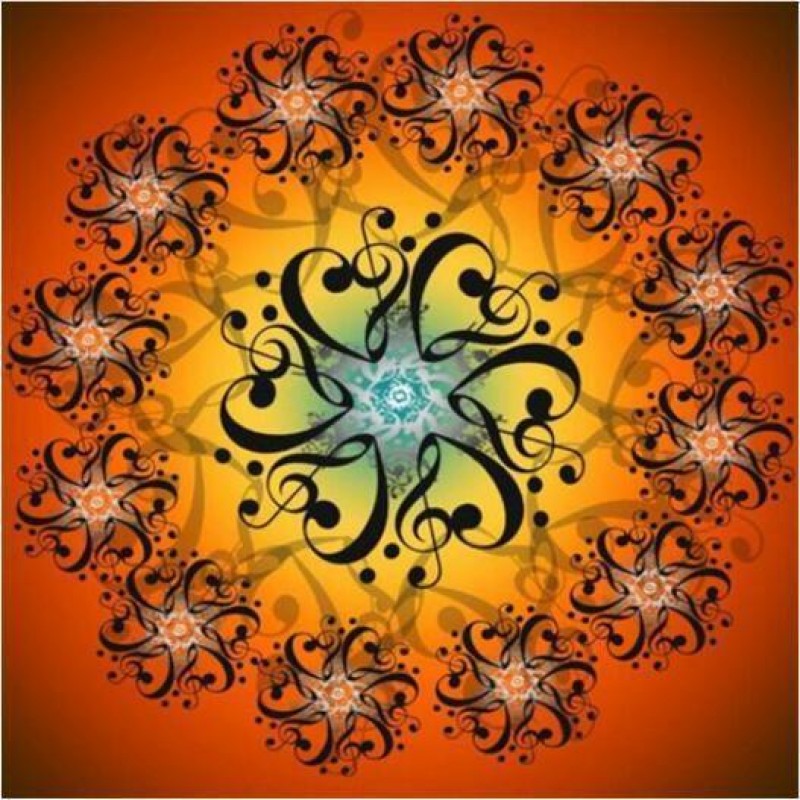 2019 Neuankömmling ...