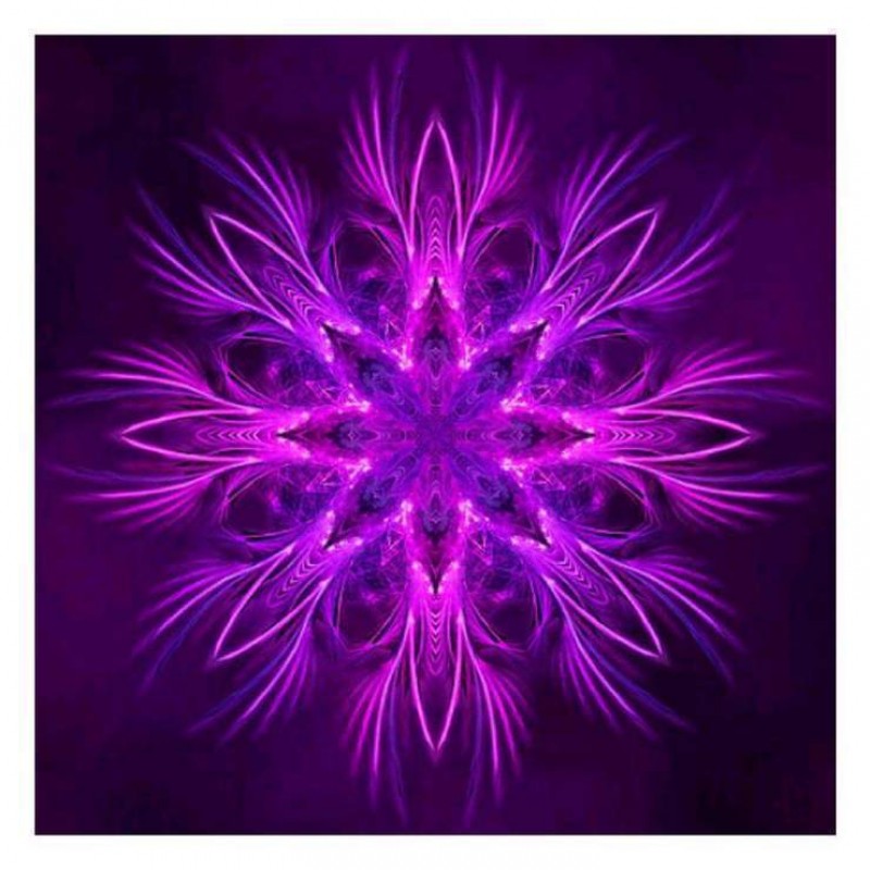 2019 Populair Mandal...