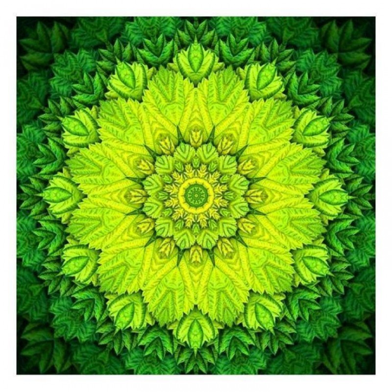 2019 Schlussverkauf ...