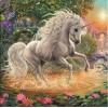 2019 Traum Populair Wit Einhorn 5d Diamond Painting /Diamant Malerei Set VM7607