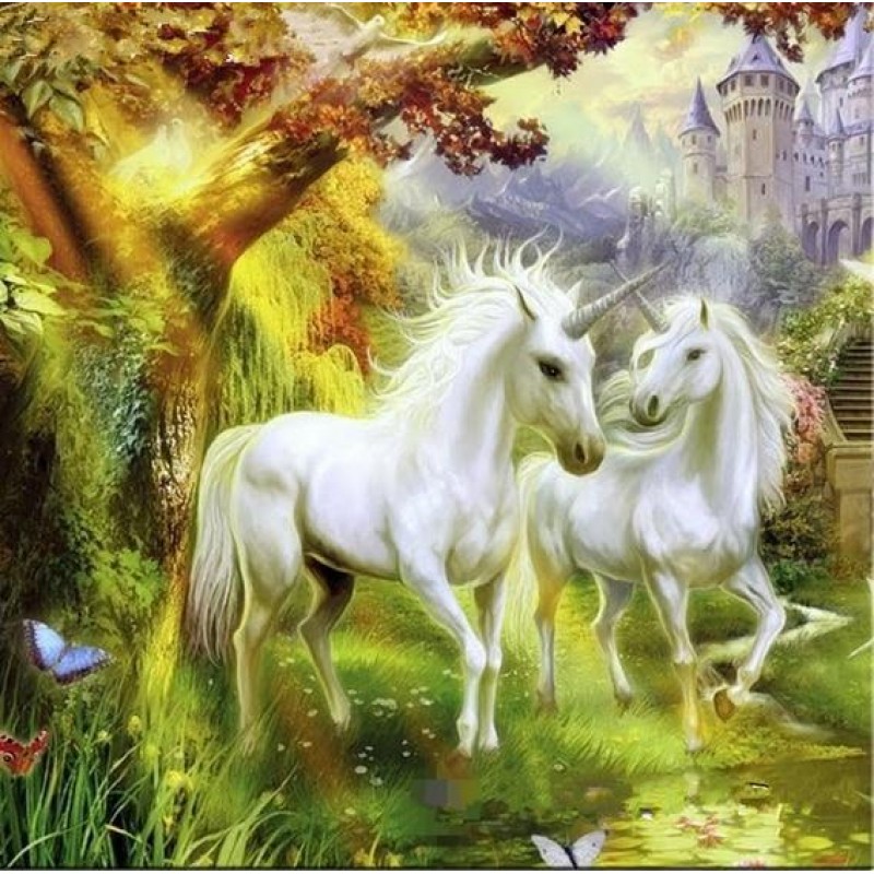 2019 Traum Populair ...