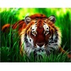 2019 Neuankömmling Tiere Porträt 5d Diamond Painting /Diamant Malerei Stickerei Tiger VM2001