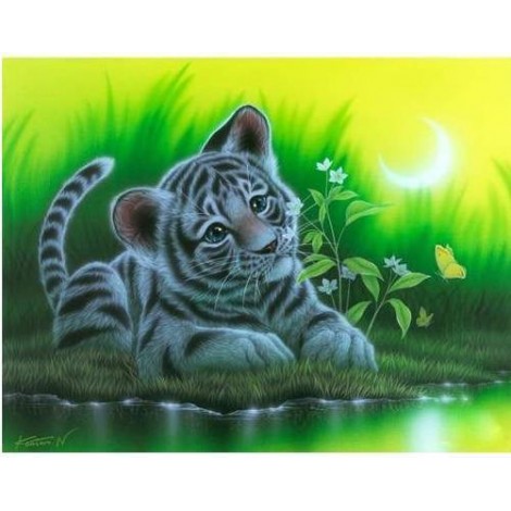 2019 Traum Tiere Schattig Tiger Patroon 5d Diamond Painting /Diamant Malerei Set VM9684