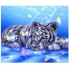 2019 Traum Tiere Schattig Tiger Patroon 5d Diamond Painting /Diamant Malerei Set VM9685