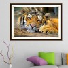 Besondere 2019 Neuankömmling Tiere Tiger 5d Diamond Painting /Diamant Malerei Set QB5067
