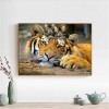 Besondere 2019 Neuankömmling Tiere Tiger 5d Diamond Painting /Diamant Malerei Set QB5067