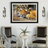 Besondere 2019 Neuankömmling Tiere Tiger 5d Diamond Painting /Diamant Malerei Set QB5067
