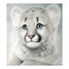 Neuankömmling Schlussverkauf Schattig Tiger 5d Diamond Painting Set QB5108