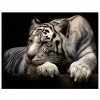 2019 Neuankömmling Besondere Tiger 5d Diamond Painting /Diamant Malerei Set QB5073