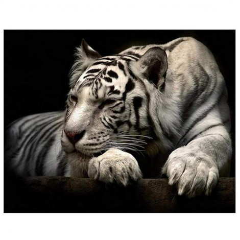 2019 Neuankömmling Besondere Tiger 5d Diamond Painting /Diamant Malerei Set QB5073