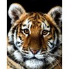 Billig 2019 Neuankömmling Tiere Porträt 5d Diamond Painting /Diamant Malerei Stickerei Tiger VM1999