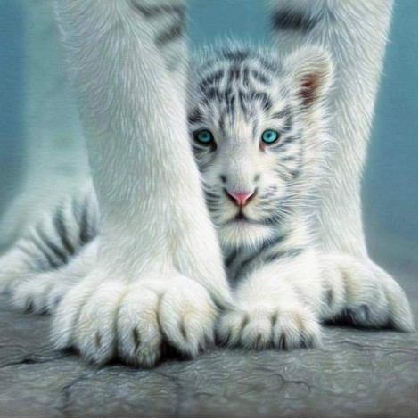 2019 Neuankömmling Traum Tiger 5d Diamond Painting /Diamant Malerei Set QB5072