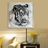 Schwarz Und Weiß Tiger 5d Vol Diamond Painting /Diamant Malerei Stickerei Tiger Set VM53007