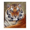Schlussverkauf 2019 Neuankömmling Tiere Tiger 5d Diamond Painting /Diamant Malerei Set QB5074