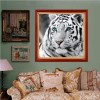 Für Anfänger Tiger Bilder 5d Diamond Painting /Diamant Malerei Set QB6431