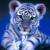 2019 Traum Schattig Weinig Tiger 5d Bergkristal Painting VM1215