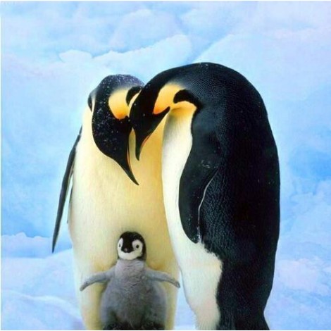 2019 Besondere Vol Eckig Strasssteine Pinguine 5d Diamond Painting /Diamant Malerei Set NA0439