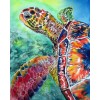 2019 Besondere Porträt Van Schildkröte 5d Diamond Painting /Diamant Malerei Set VM7907