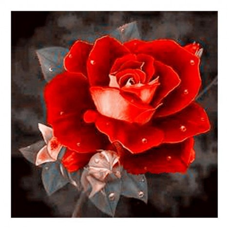 Billig Mooi Verschillende Maten Rote Rosen Diamond Painting /Diamant Malerei Set AF9316