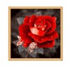 Billig Mooi Verschillende Maten Rote Rosen Diamond Painting /Diamant Malerei Set AF9316