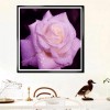 Billig Mooi Verschillende Maten Rosa Rosen Diamond Painting /Diamant Malerei Set AF9317