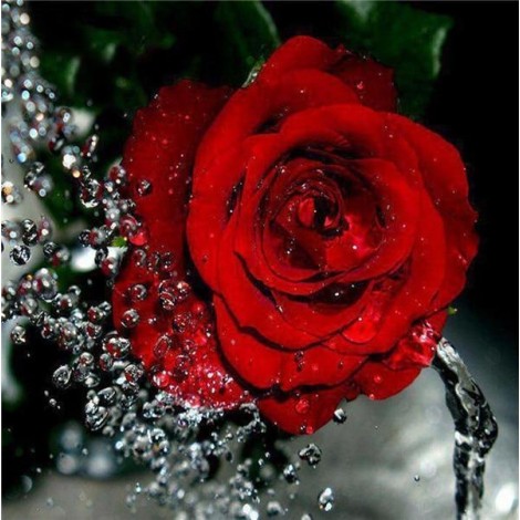 2019 Neuankömmling Schlussverkauf Rosen Blume Diamond Painting /Diamant Malerei Set VM7525