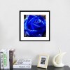 Traum Serie Schlussverkauf Blauw Rosen Diamond Painting /Diamant Malerei Set AF9315