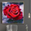 2019 Traum Rote Rosen 5d Diamond Painting /Diamant Malerei Stickerei Blume VM1404