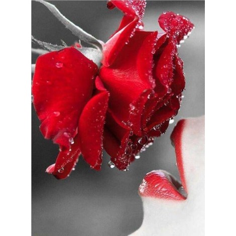 2019 Neuankömmling Schlussverkauf Vol Eckig Strasssteine Rote Rosen 5d Diamond Painting /Diamant Malerei Stickerei Blume VM2003
