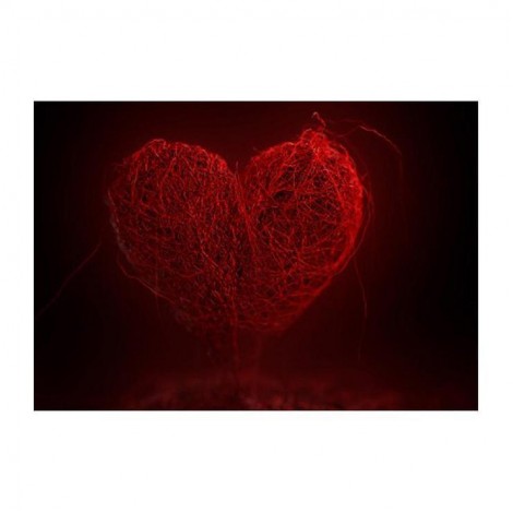 Schlussverkauf Rote Serie Liefde Herz Geformt Diamond Painting /Diamant Malerei Set AF9421