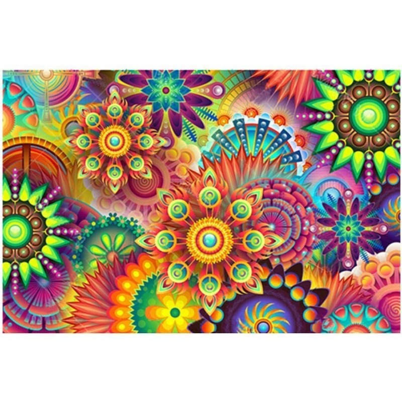 2019 Neuankömmling ...