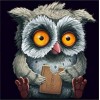 2019 Neuankömmling Schlussverkauf Populair Lustig Eule 5d Diamond Painting /Diamant Malerei Stickerei Kinder Set VM3546