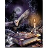2019 Neuankömmling Schlussverkauf Magisch Eule 5d Diamond Painting /Diamant Malerei Set VM8180