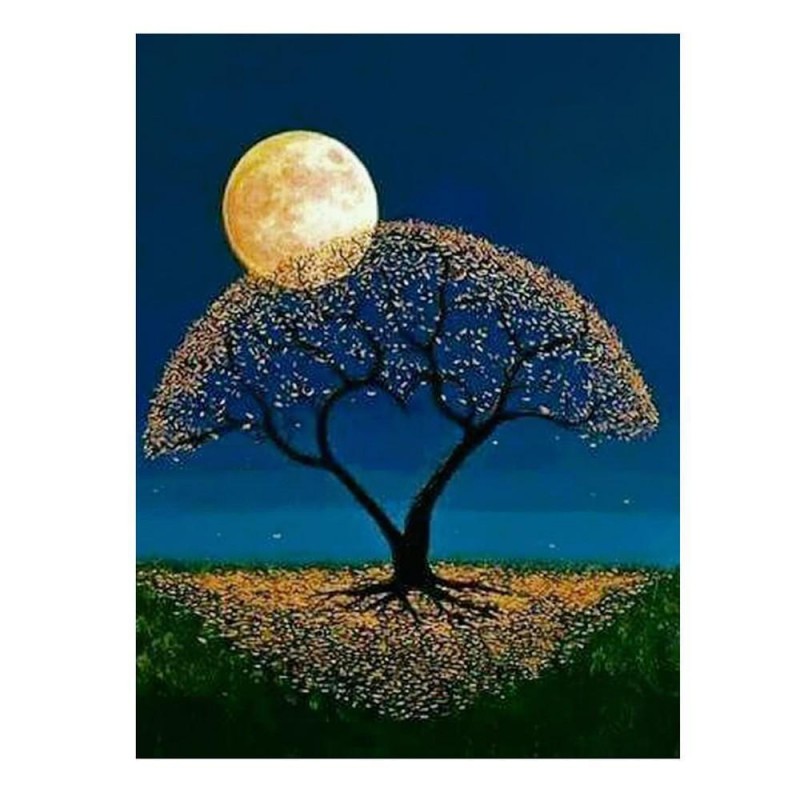 2019 Traum Baums In ...