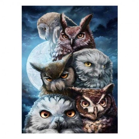 Populair Ölgemälde Stile Muur Eule Diamond Painting /Diamant Malerei Set AF9256