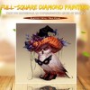 2019 Besondere Eule Bilder Van Bergkristals 5d Vol Eckig Strasssteine Diamond Painting /Diamant Malerei Set VM9831