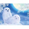Vol Eckig Strasssteine Besondere Winter Eule 5D Diamond Painting /Diamant Malerei Set NA0235