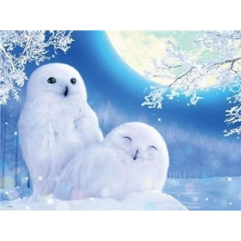 Vol Eckig Strasssteine Besondere Winter Eule 5D Diamond Painting /Diamant Malerei Set NA0235