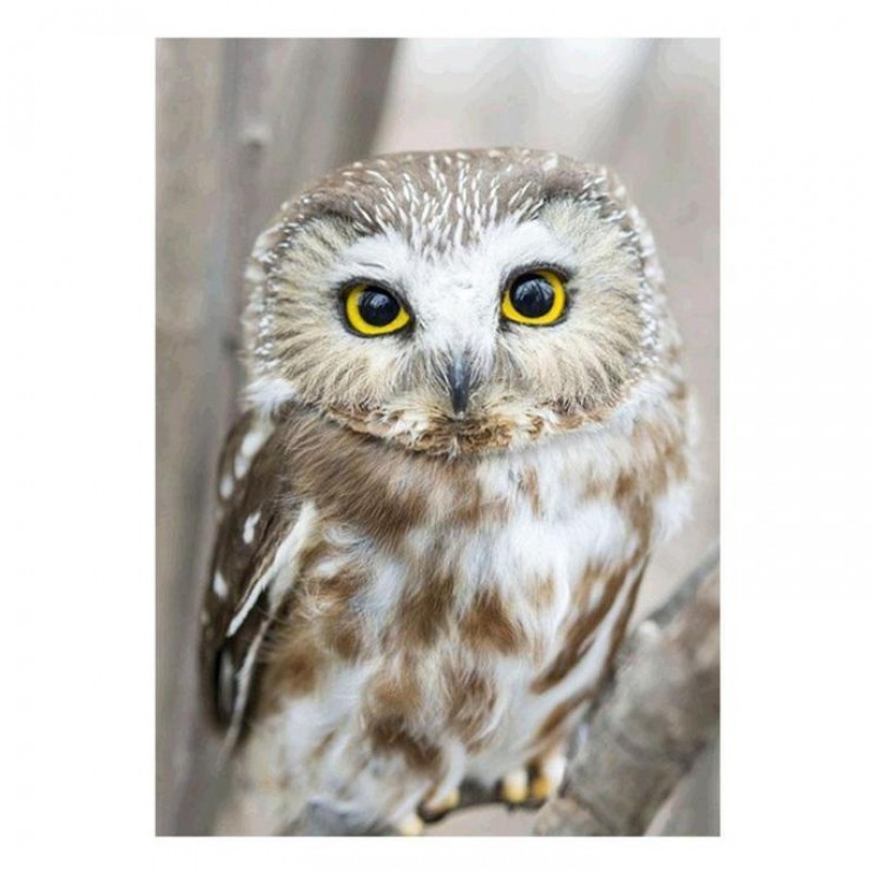 Muur Billig Liefdely...